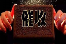 东宝东宝的要账公司在催收过程中的策略和技巧有哪些？